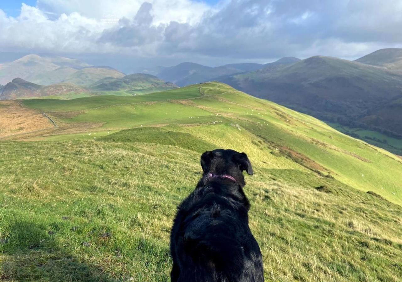 Farmhouse & Cottage At Geufron Farm - Dog Friendly Bryn-crug 외부 사진