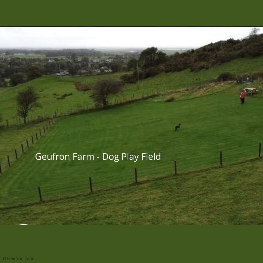 Farmhouse & Cottage At Geufron Farm - Dog Friendly Bryn-crug 외부 사진